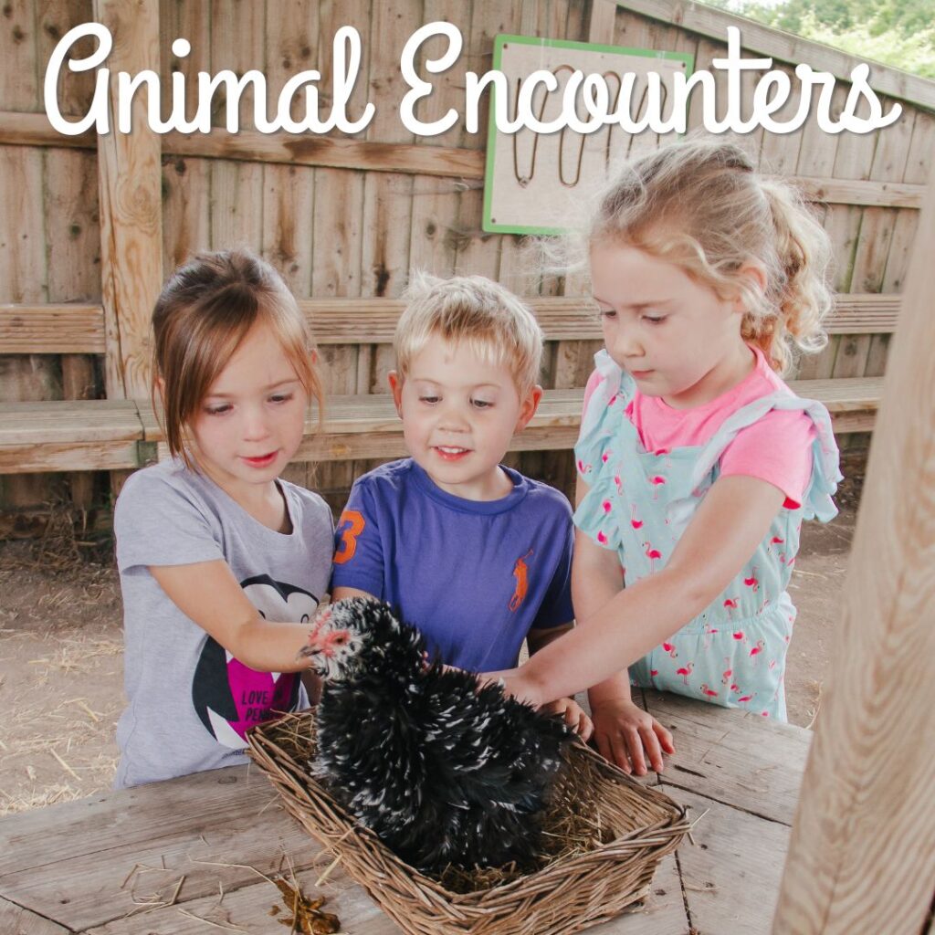 Animal Encounters where you can meet and pet some of our animals