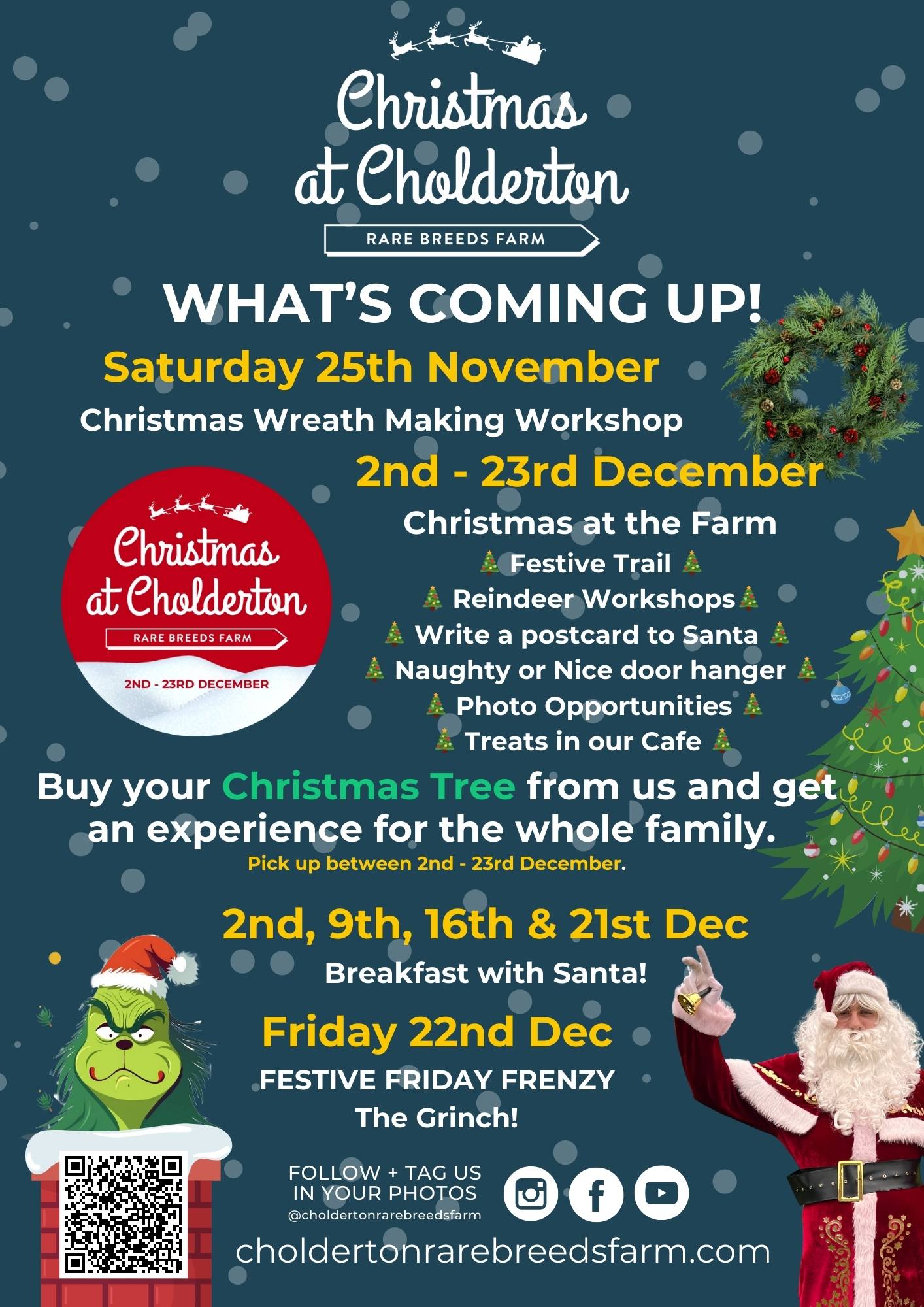 What is coming up over Christmas at Cholderton Rare Breeds Farm
