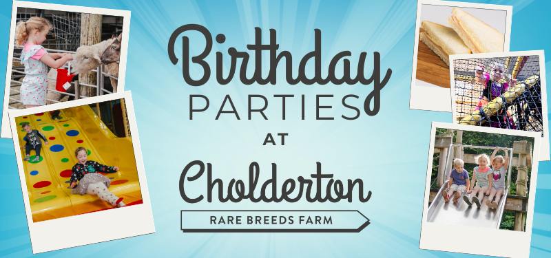 Birthday Parties at Cholderton Rare Breeds Farm