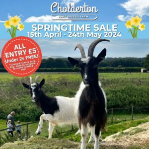 Springtime Sale - all entry £5pp