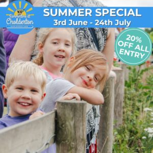 Summer Special - 20% off entry