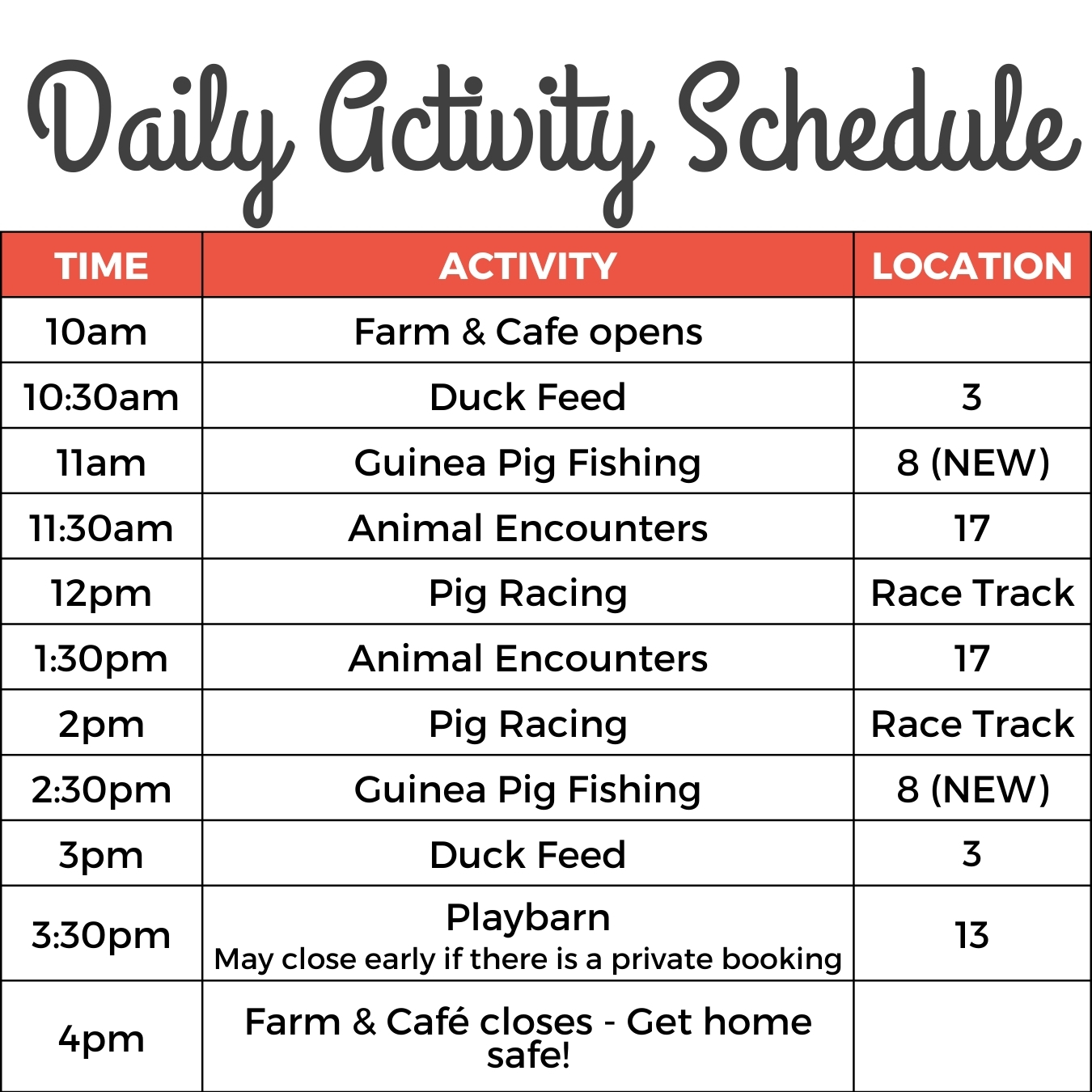 Daily Activity Schedule