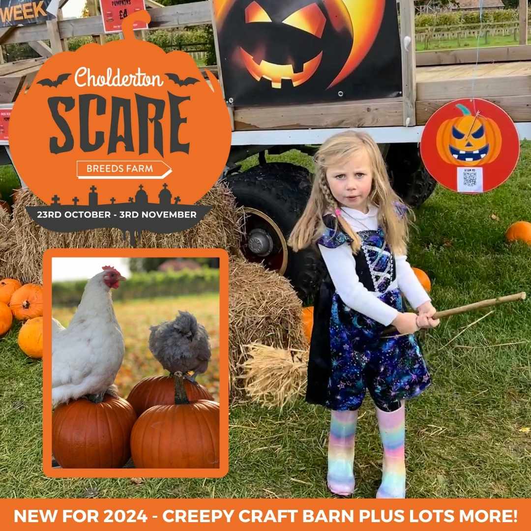 Cholderton Scare Breeds Farm - Family Halloween Half-Term Fun