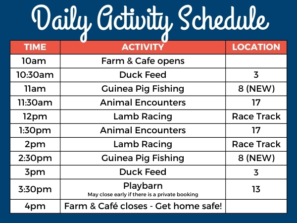 Our fun filled daily activity schedule