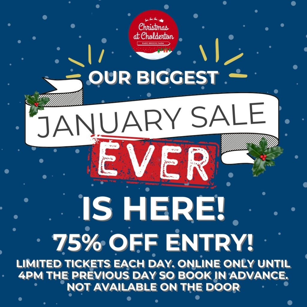 Excellent value family day out with our January Sale