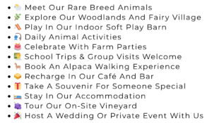 What you'll discover at Cholderton Rare Breeds Farm