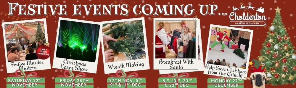 Festive Events at Cholderton Rare Breeds Farm