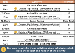 Daily Animal Activity Schedule at Cholderton Rare Breeds Farm