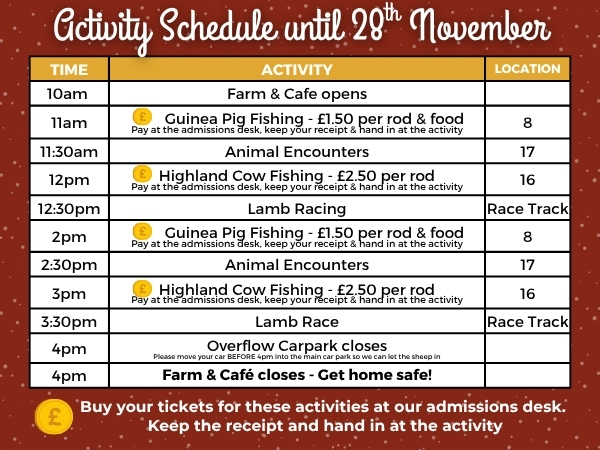 Cholderton Rare Breeds Farm Daily Animal Activity Schedule for all ages