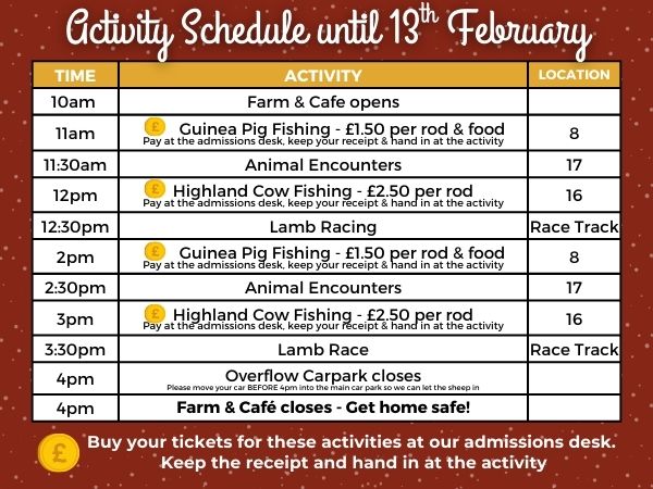 Activity Schedule with farm animal experiences