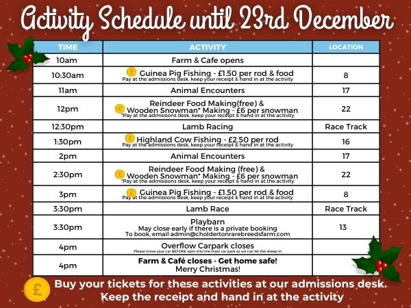 Christmas at Cholderton Rare Breeds Farm Family animal Activity schedule
