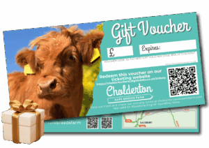 Gift Vouchers for Cholderton Rare Breeds Farm Family Day out in Wiltshire