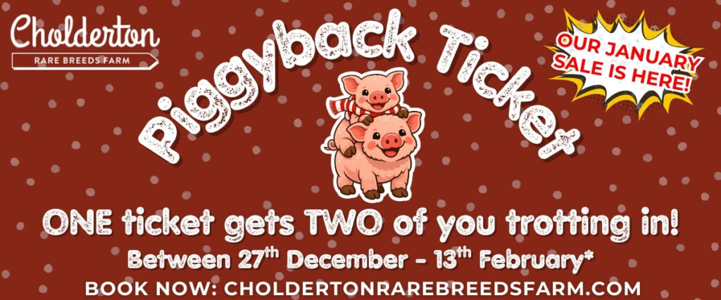 Piggyback Ticket, January Sale.