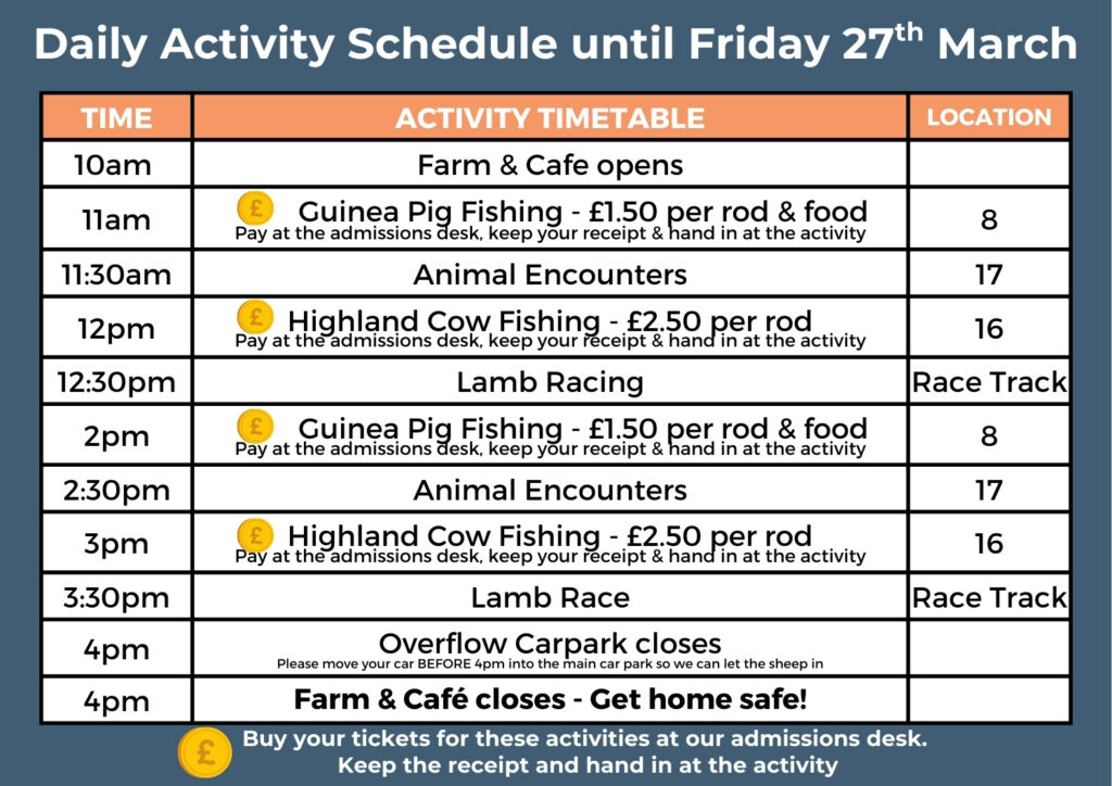 Daily Activity Schedules for family farm day out at Cholderton Rare Breeds Farm Kids Day Out
