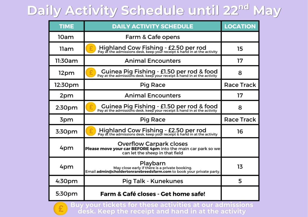 Daily Activity Farm Schedule