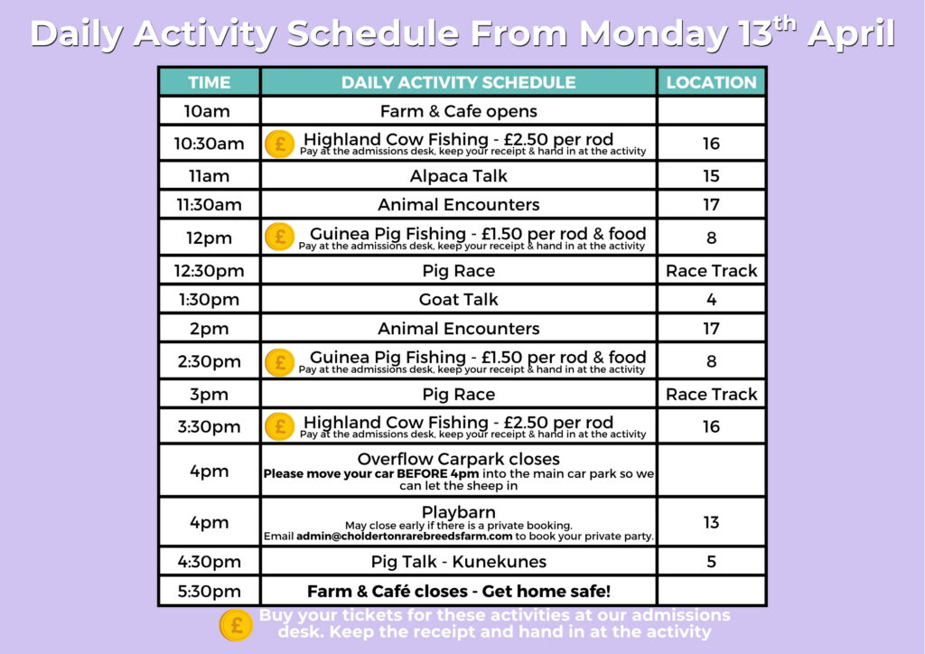 Daily Activity Schedule at Cholderton Rare Breeds Farm