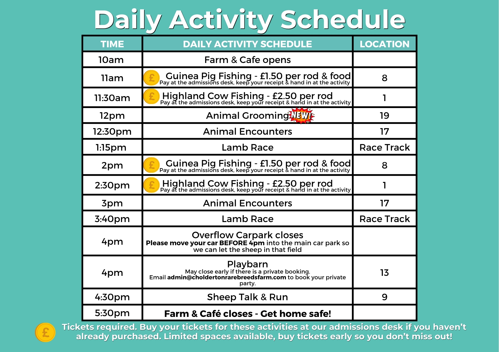 Activity schedule
