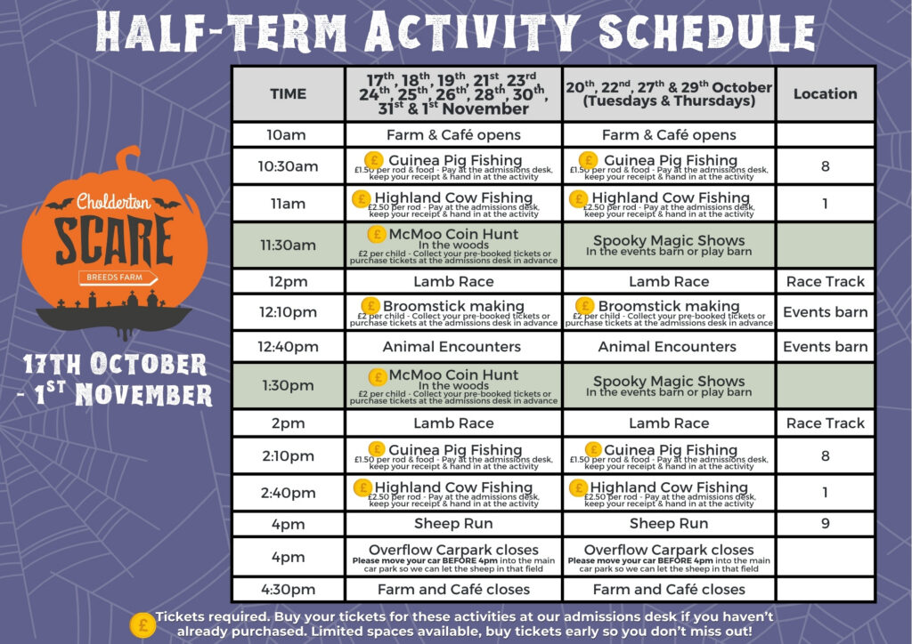 Halloween Daily Schedule